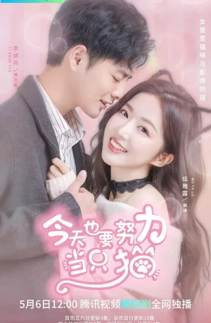 Дорама Моя любимая кошечка онлайн