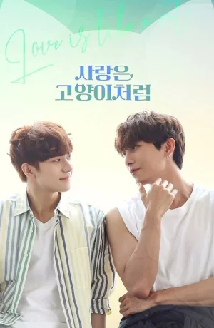 Дорама Любовь подобна кошке онлайн