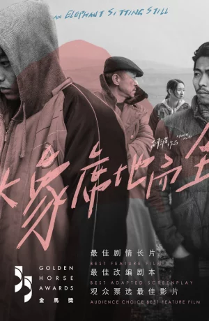 Дорама Слон сидит спокойно онлайн