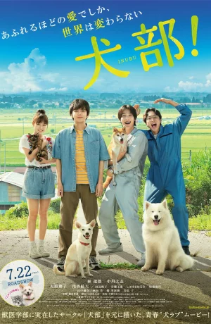 Дорама Клуб собак! онлайн