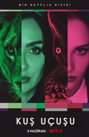 Дорама Полёт птицы онлайн