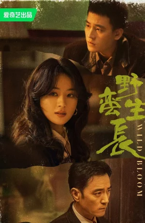 Дорама Дикий цветок онлайн