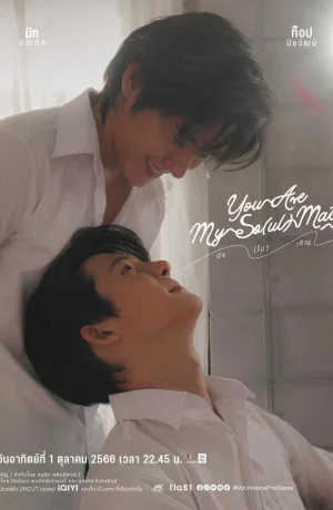 Дорама Ты – мой со(ул)мейт онлайн