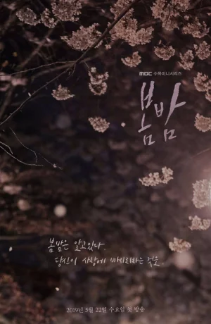 Дорама Весенняя ночь онлайн