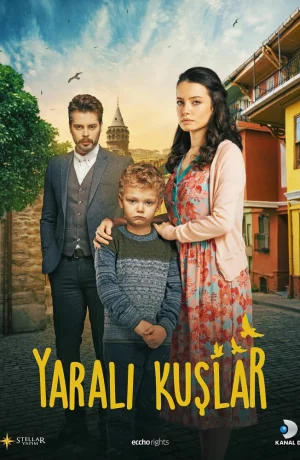 Дорама Раненые птицы онлайн