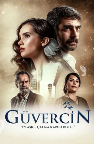 Дорама Голубка онлайн