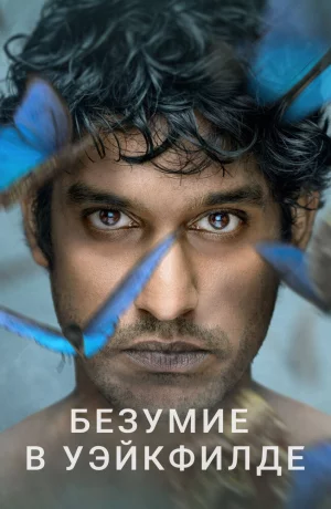 Дорама Безумие в Уэйкфилде онлайн