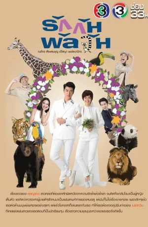 Дорама Заблудившиеся в любви онлайн