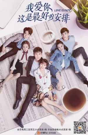 Дорама Любить тебя — лучшее решение онлайн