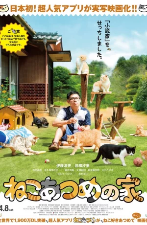 Дорама Дом кошек онлайн