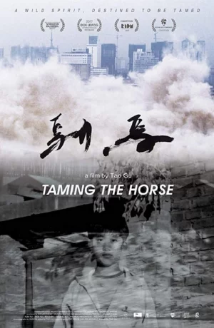 Дорама Укрощенный онлайн