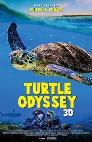 Дорама Черепашья одиссея онлайн