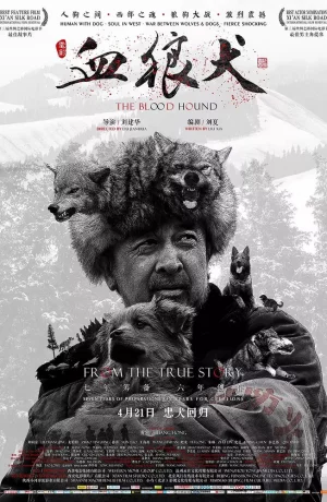 Дорама Кровавая гончая онлайн