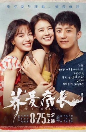 Дорама Дикие травы онлайн