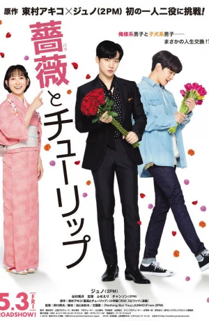 Дорама Роза и тюльпан онлайн