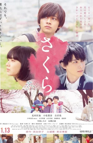 Дорама Сакура онлайн