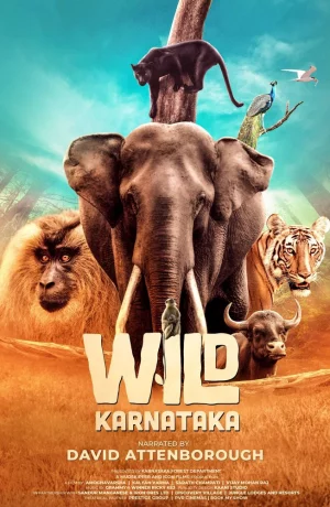 Дорама Дикая Карнатака онлайн