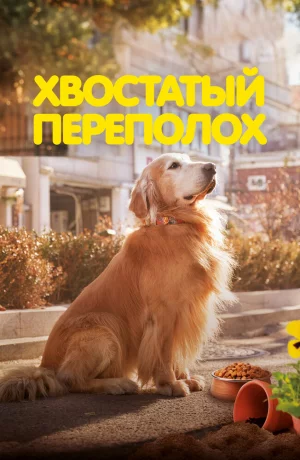 Дорама Хвостатый переполох онлайн