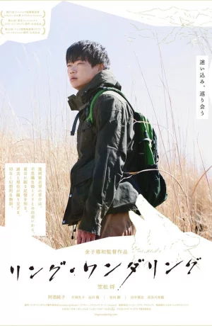 Дорама Хождение кругами онлайн