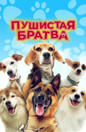 Дорама Пушистая братва онлайн