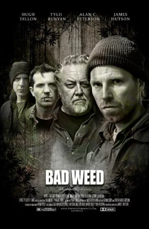 Дорама Последний урожай онлайн