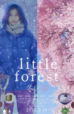Дорама Небольшой лес: Зима и весна онлайн