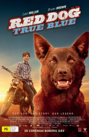 Дорама Рыжий: Вся правда онлайн