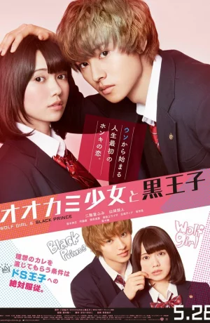 Дорама Волчица и черный принц онлайн