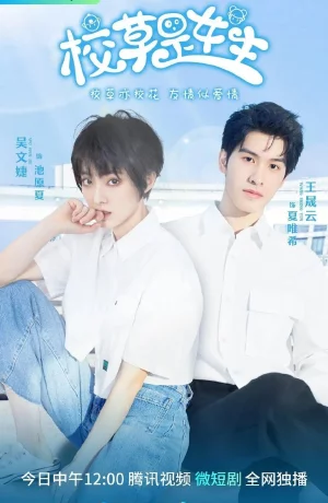 Дорама Краш всего универа - девушка онлайн