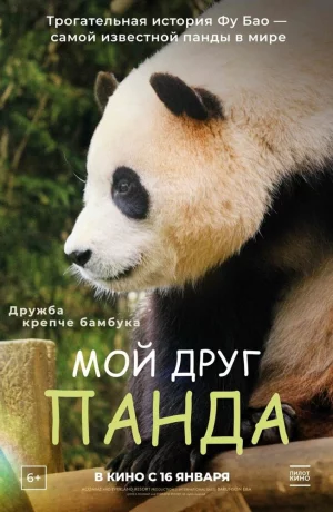Дорама Мой друг панда онлайн