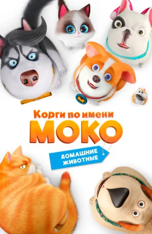 Дорама Корги по имени Моко. Домашние животные онлайн