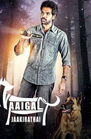 Дорама Берегитесь собак онлайн