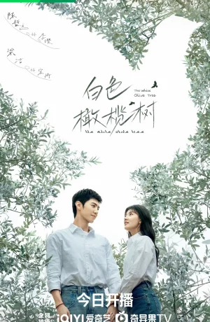 Дорама Белое оливковое дерево онлайн